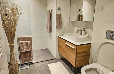 Rental of a modern 3-room apartment, 81 m², Belgrade, Serbia